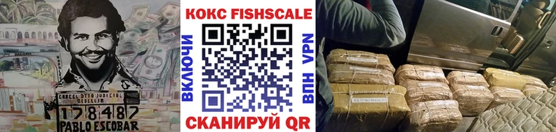 COCAIN Fish Scale  закладка  блэк спрут как войти  Чебоксары 