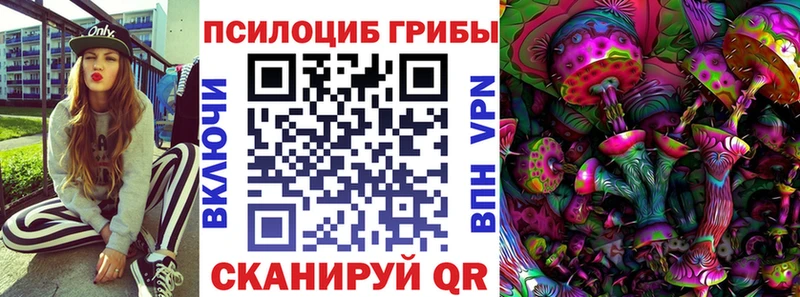 купить наркоту  Чебоксары  Псилоцибиновые грибы GOLDEN TEACHER 